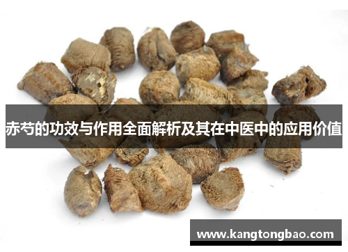 赤芍的功效与作用全面解析及其在中医中的应用价值