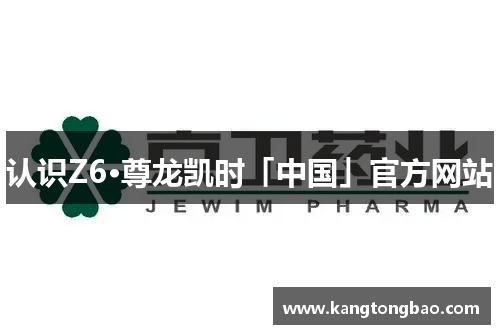 认识Z6·尊龙凯时「中国」官方网站